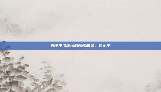 天使投资领域的璀璨明星,徐小平