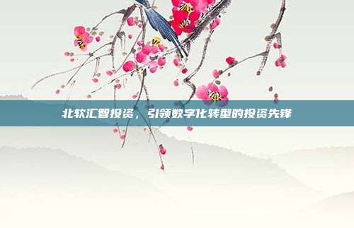 北软汇智投资,引领数字化转型的投资先锋