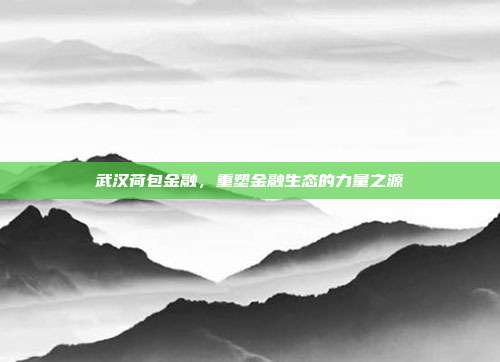 武汉荷包金融,重塑金融生态的力量之源