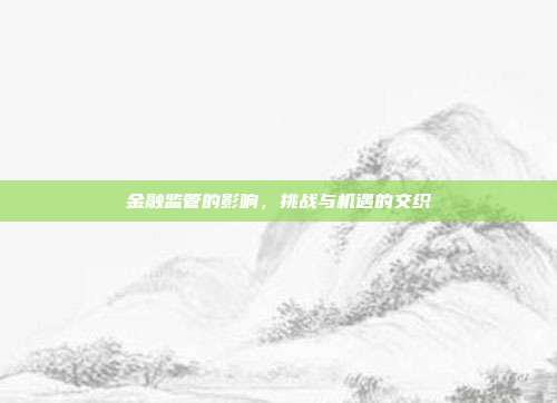 金融监管的影响,挑战与机遇的交织