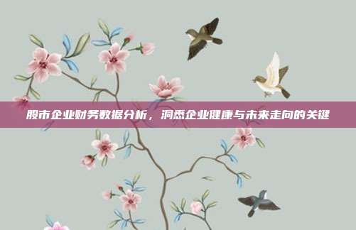 股市企业财务数据分析,洞悉企业健康与未来走向的关键