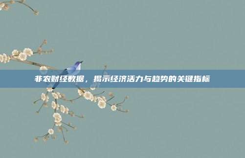 非农财经数据,揭示经济活力与趋势的关键指标