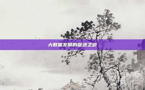 大数据发展的促进之道