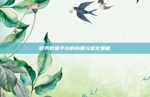 财务数据平台的构建与优化策略