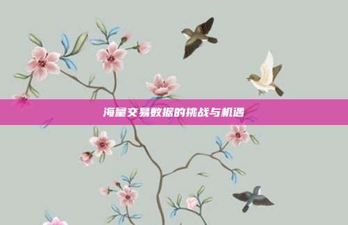 海量交易数据的挑战与机遇