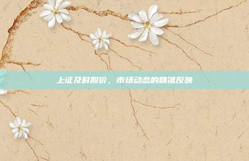 上证及时股价,市场动态的精准反映