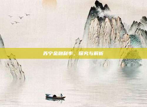 苏宁金融利率,探究与解析