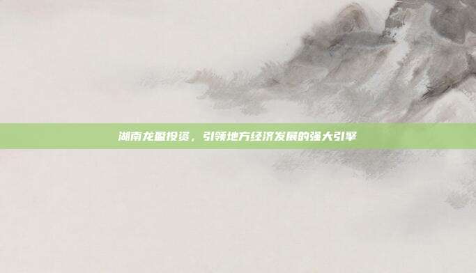 湖南龙盈投资,引领地方经济发展的强大引擎
