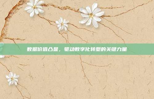 数据价值凸显,驱动数字化转型的关键力量