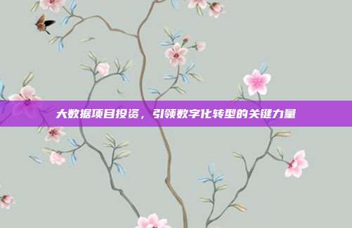 大数据项目投资,引领数字化转型的关键力量