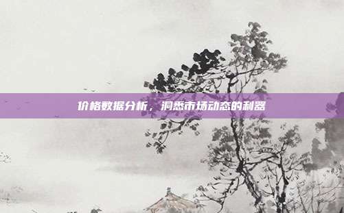 价格数据分析，洞悉市场动态的利器