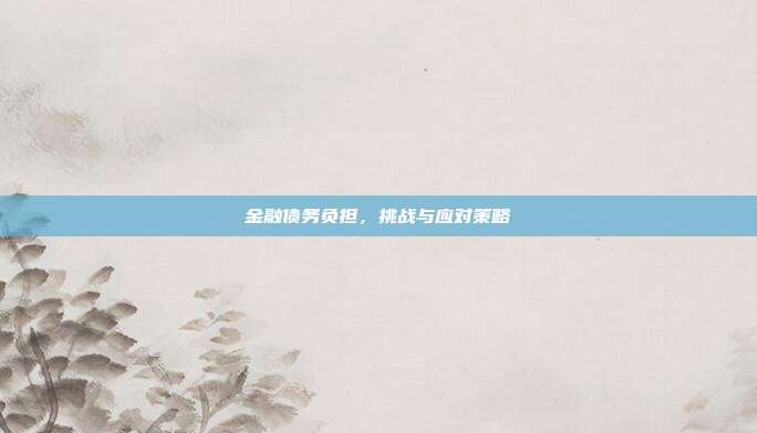 金融债务负担,挑战与应对策略