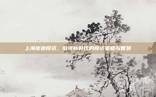上海优道投资,引领新时代的投资策略与智慧