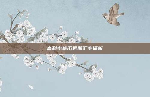 高利率货币远期汇率探析