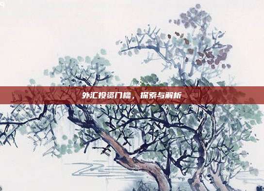 外汇投资门槛,探索与解析
