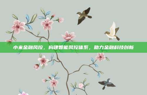 小米金融风控，构建智能风控体系，助力金融科技创新