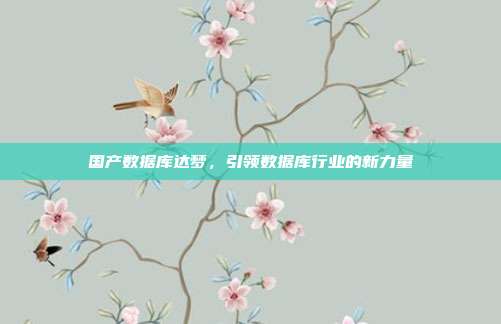 国产数据库达梦，引领数据库行业的新力量