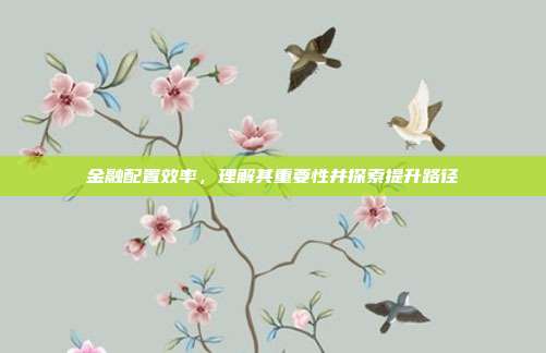 金融配置效率,理解其重要性并探索提升路径