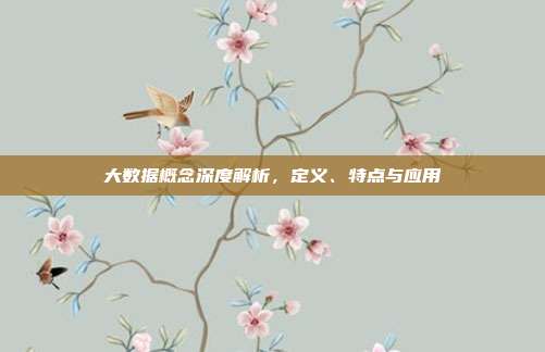 大数据概念深度解析,定义、特点与应用