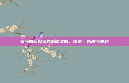 宝马国际投资的战略之路,探索、拓展与卓越