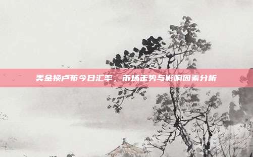 美金换卢布今日汇率,市场走势与影响因素分析