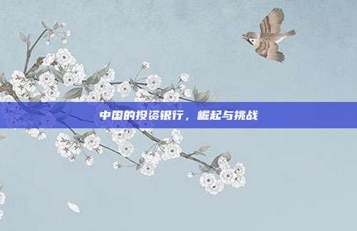 中国的投资银行,崛起与挑战