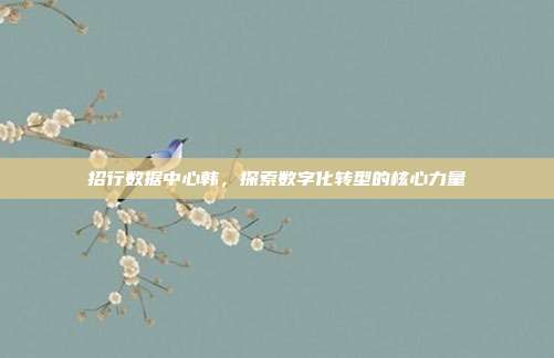 招行数据中心韩,探索数字化转型的核心力量