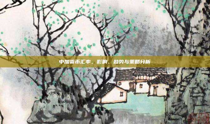 中加货币汇率,影响、趋势与策略分析