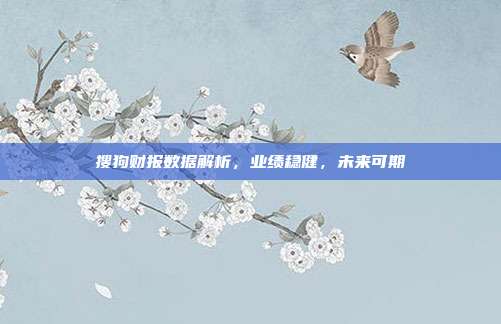 搜狗财报数据解析,业绩稳健,未来可期