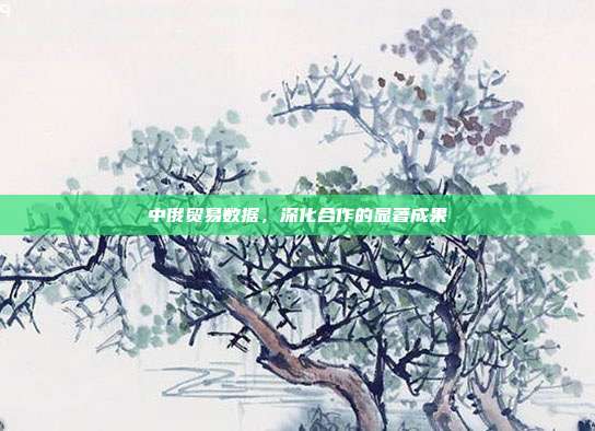 中俄贸易数据，深化合作的显著成果