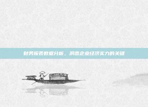 财务报表数据分析,洞悉企业经济实力的关键
