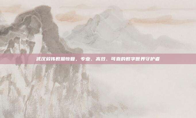 武汉毅伟数据恢复,专业、高效、可靠的数字世界守护者