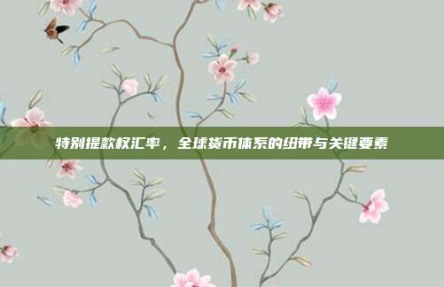 特别提款权汇率,全球货币体系的纽带与关键要素