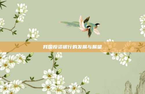 我国投资银行的发展与展望