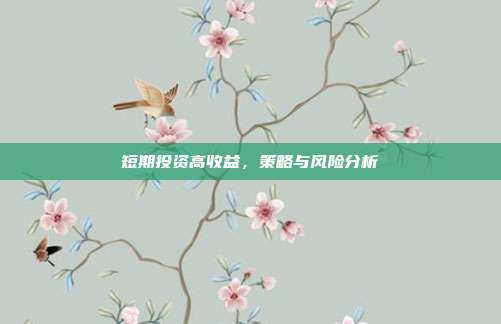 短期投资高收益，策略与风险分析