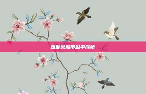 西部数据市盈率探析