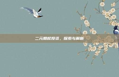 二元期权投资,探索与解析