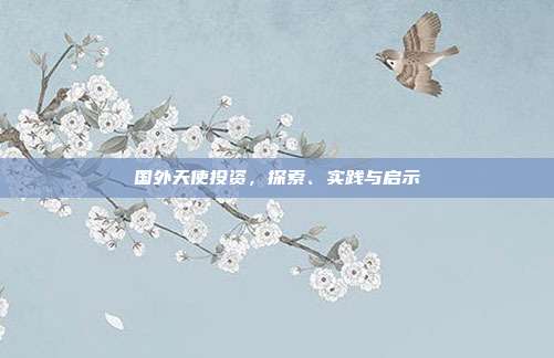 国外天使投资,探索、实践与启示