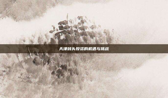 天津码头投资的机遇与挑战