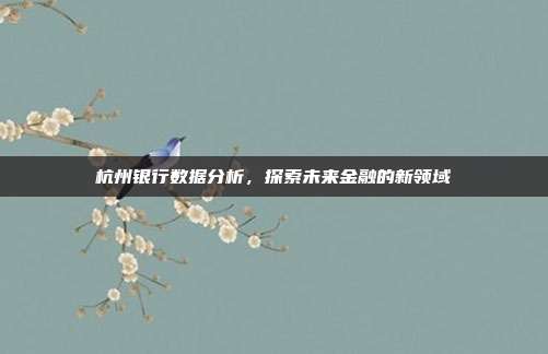 杭州银行数据分析,探索未来金融的新领域