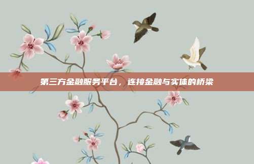 第三方金融服务平台，连接金融与实体的桥梁