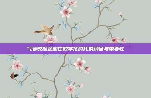 气象数据企业在数字化时代的角色与重要性