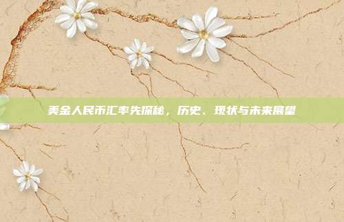 美金人民币汇率先探秘,历史、现状与未来展望