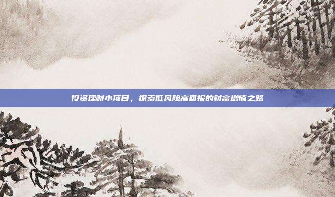投资理财小项目,探索低风险高回报的财富增值之路