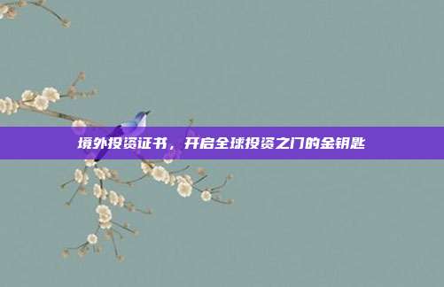境外投资证书,开启全球投资之门的金钥匙