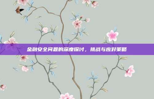 金融安全问题的深度探讨，挑战与应对策略