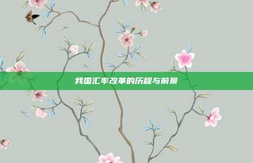 我国汇率改革的历程与前景