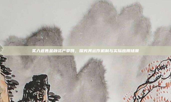 买入返售金融资产举例,探究其运作机制与实际应用场景