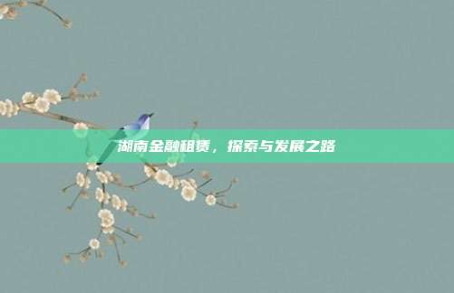 湖南金融租赁,探索与发展之路