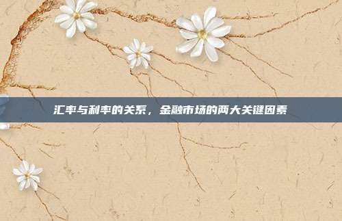 汇率与利率的关系,金融市场的两大关键因素